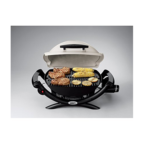 Weber Baby Q1000 Review